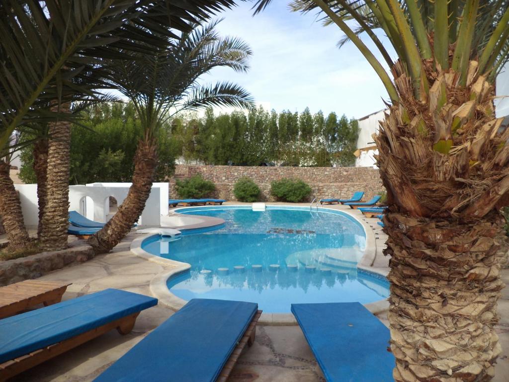 Dahab Divers Extérieur photo
