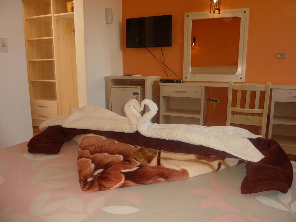 Dahab Divers Chambre photo