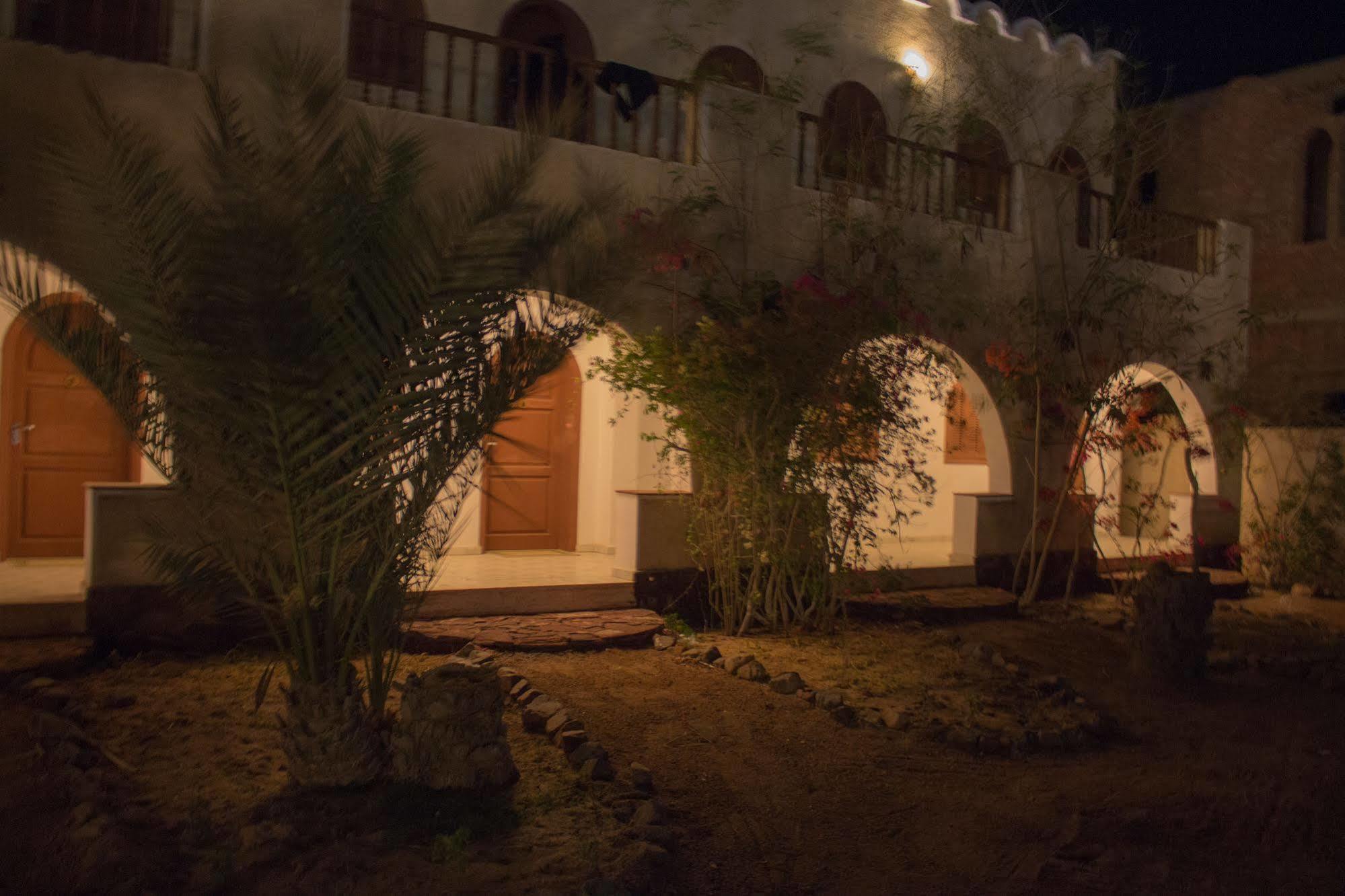 Dahab Divers Extérieur photo