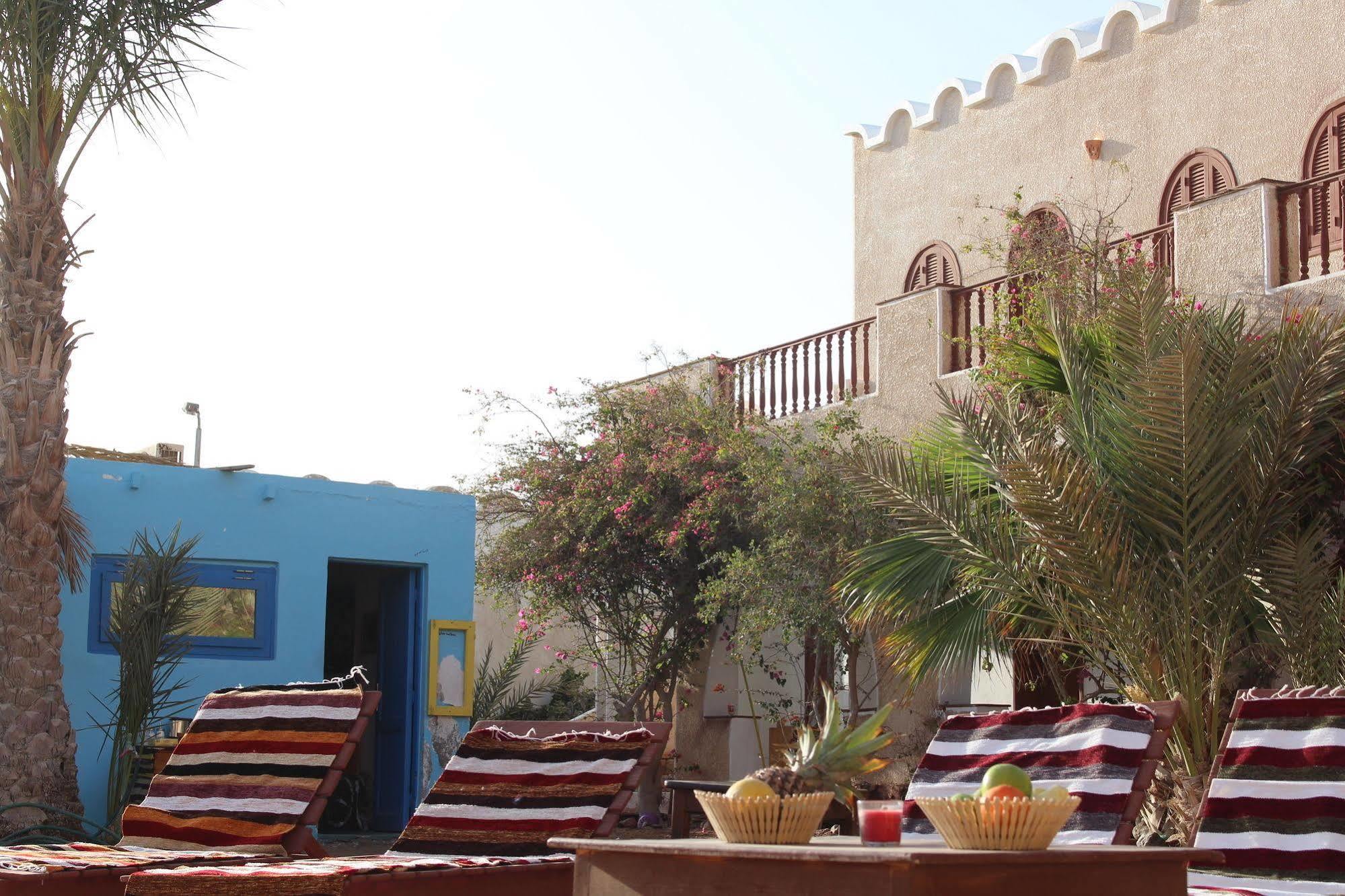 Dahab Divers Extérieur photo