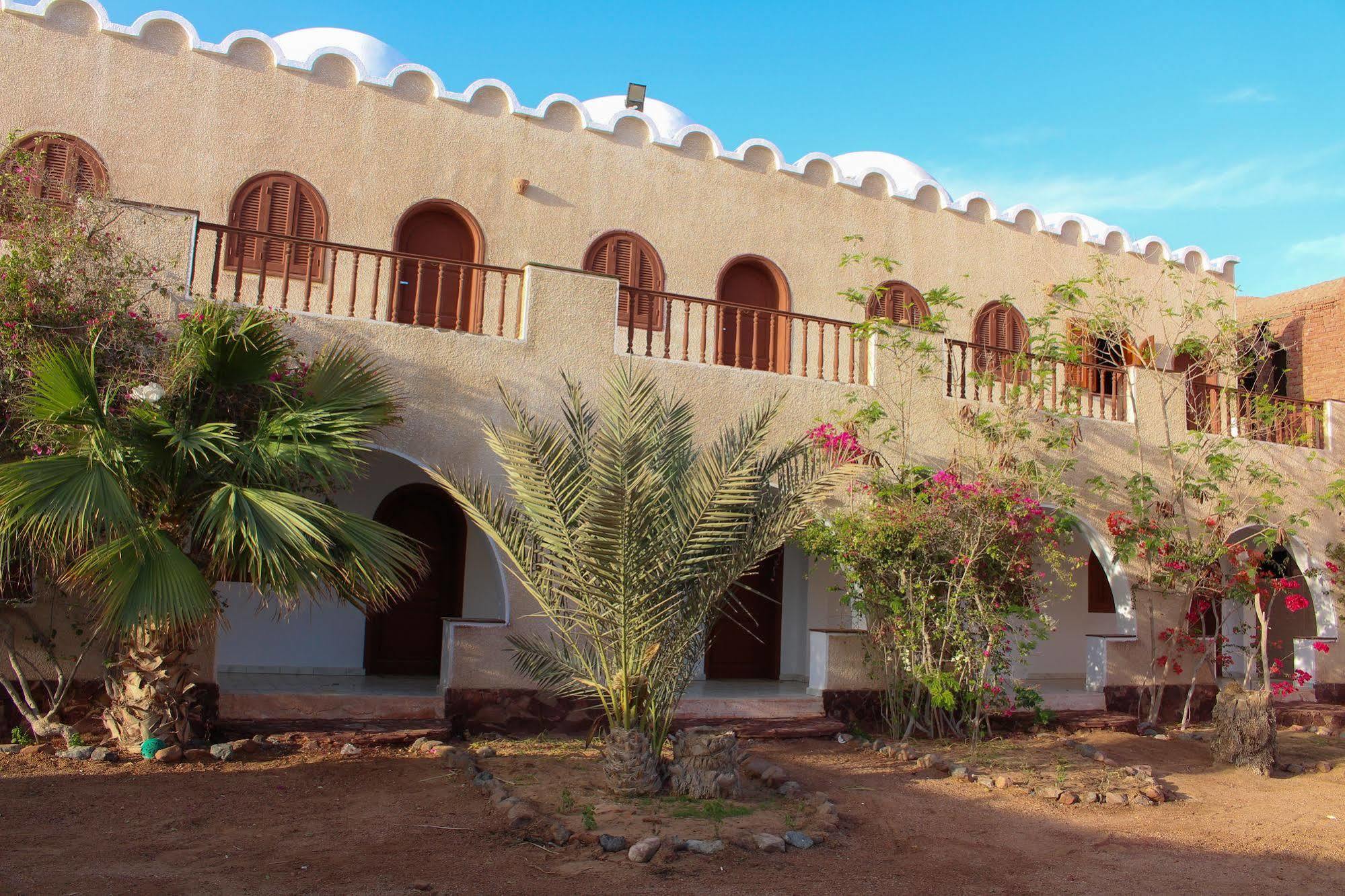 Dahab Divers Extérieur photo