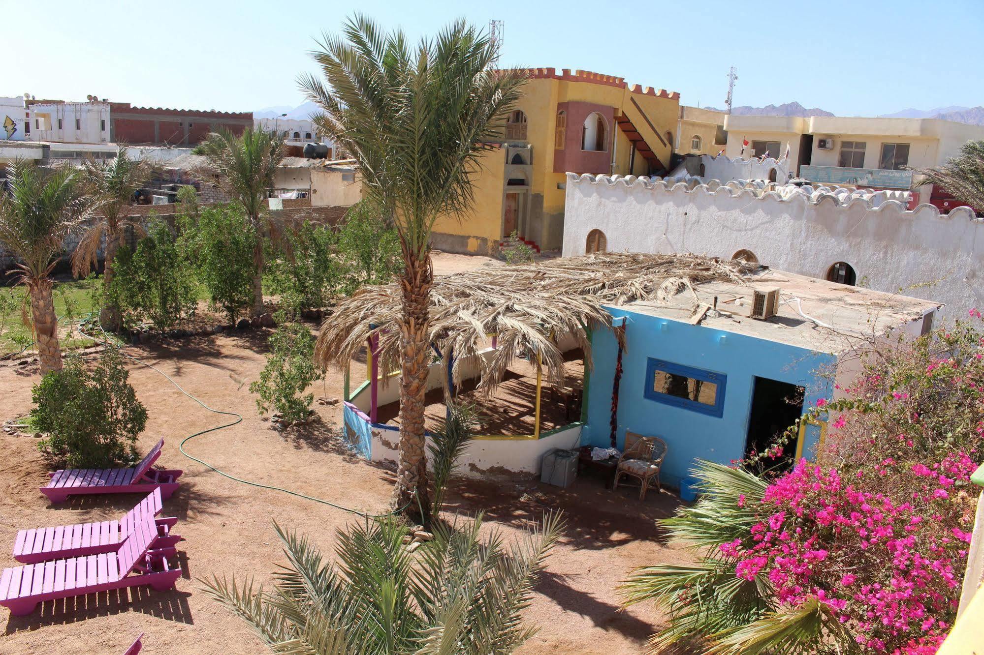 Dahab Divers Extérieur photo