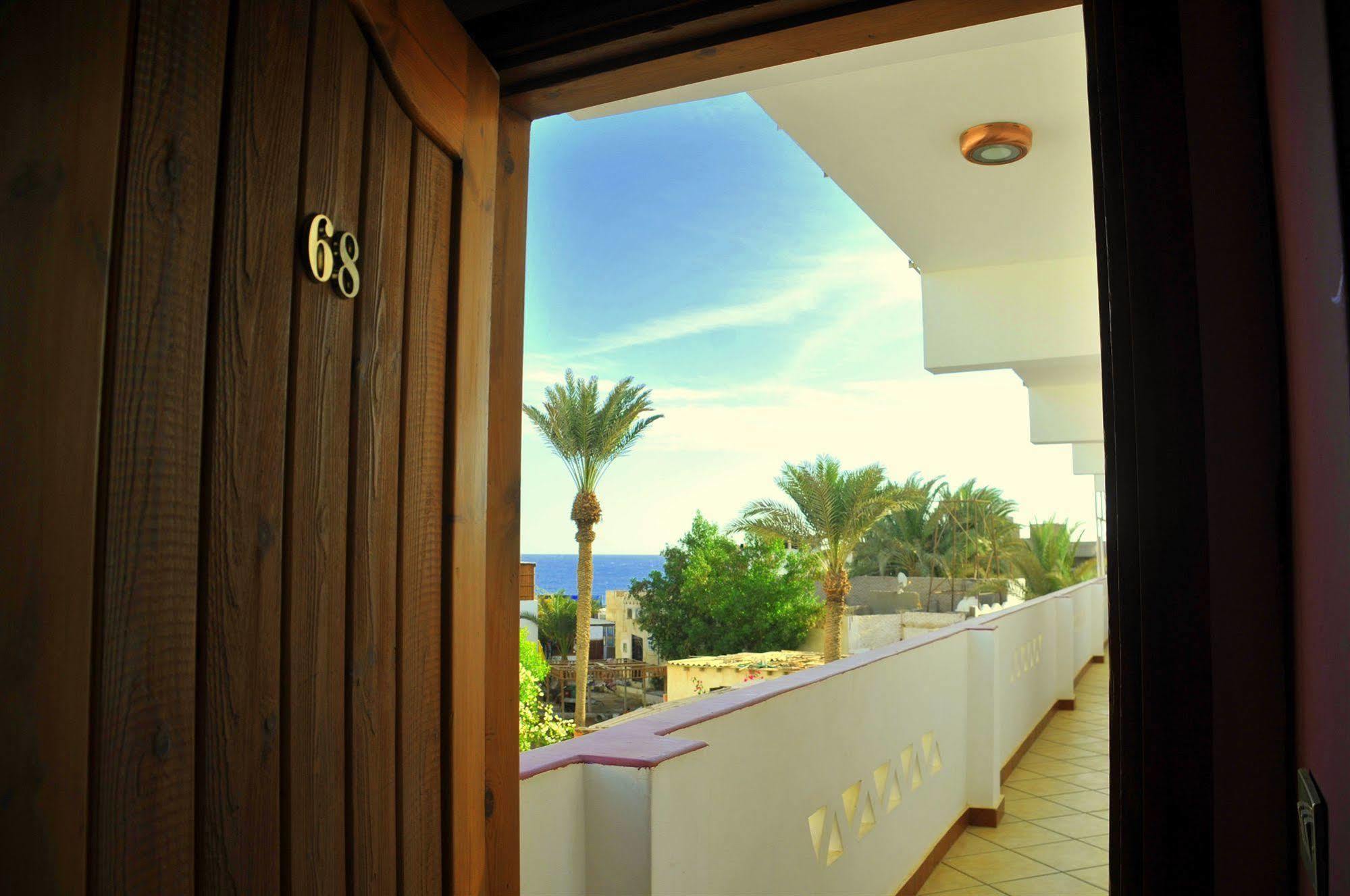 Dahab Divers Extérieur photo