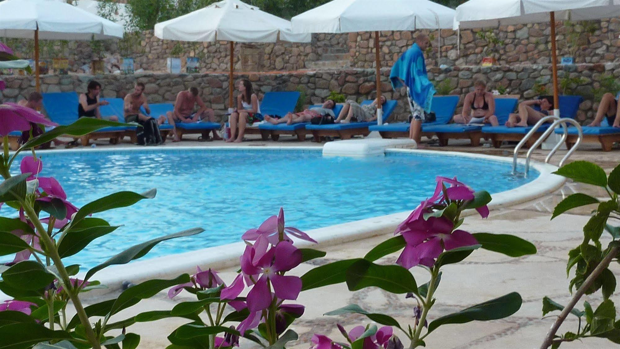 Dahab Divers Extérieur photo